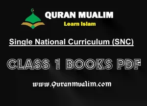 class one, grade 1, 1st grade, class 1 maths,English class one, general knowledge class one, pdf textbooks, pdf textbooks grade 1