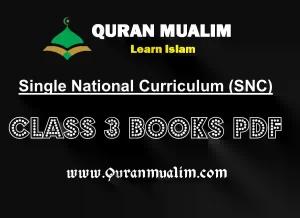 Class 3 Single National Curriculum Books PDF Download, 3rd grade math, grade 3, maths for class 3, for 3rd class, class 3, class three books pdf
