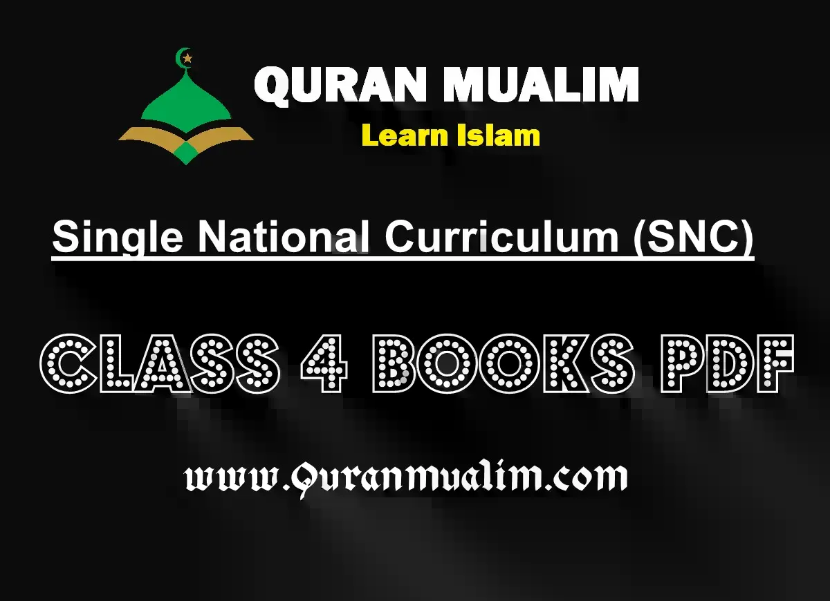 Class 4 Punjab Textbooks free PDF eBooks download 4 class, class 4, 4th class, class 4 maths, class 4 english, snc national curriculum,new syllabus,http lms snc punjab gov pk login,snc gov pk,snc govt pk, single national curriculum details