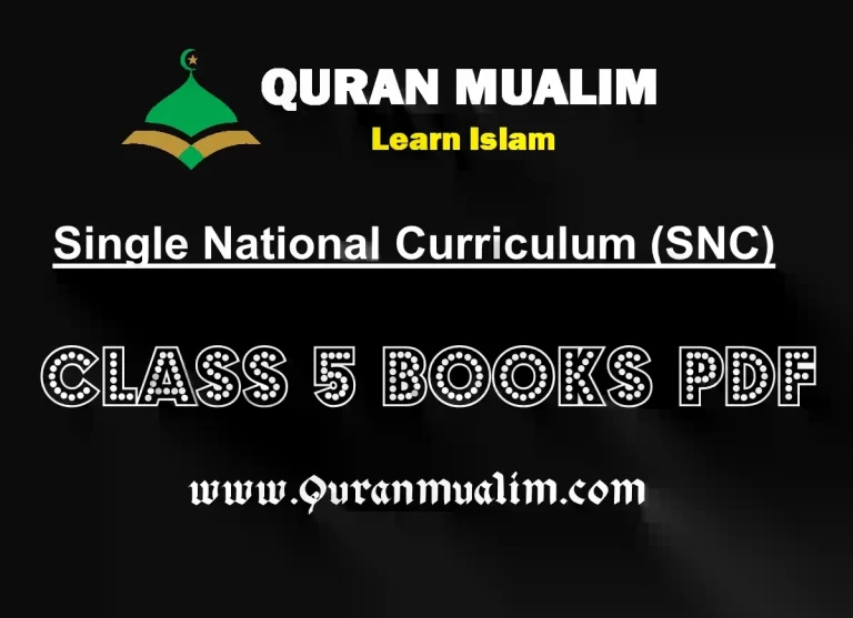 one syllabus in pakistan,single national curriculum punjab,single national curriculum essay pdf,national curriculum of pakistan 2020,advantages of single national curriculum,individual need and national curriculum,national curriculum of pakistan 2018