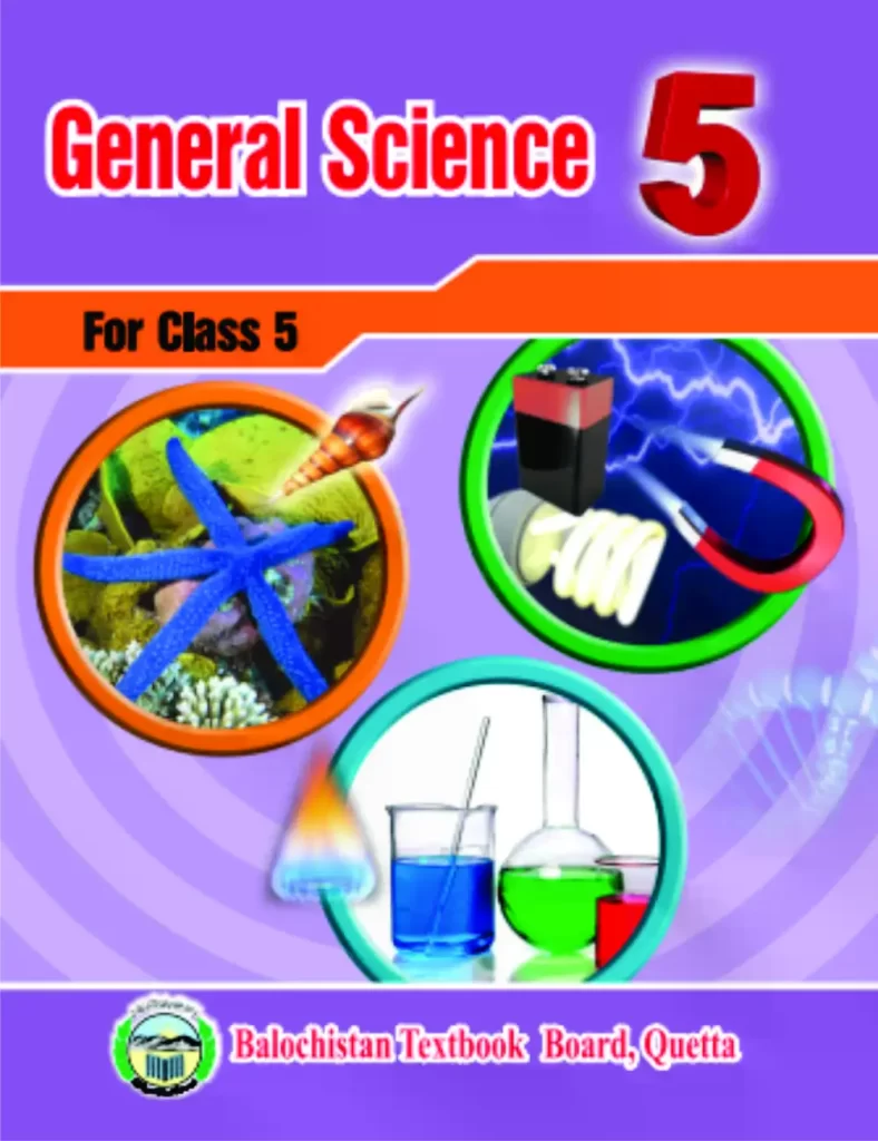 what is global warming for class 5 ,why i love pakistan essay for class 5 ,lgs phase 5, ,multiplication worksheets,math class 5,5 class math book,5th class math book pdf,class 5 math book pdf download