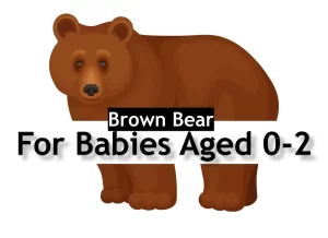 himalayan brown bear, big brown bear, brown bears vs grizzly bears ,brown bear cartoon, brown bear shelby, difference between grizzly and brown bear, brown bear cam ,cute brown bear,mike brown bears, brown bear carwash