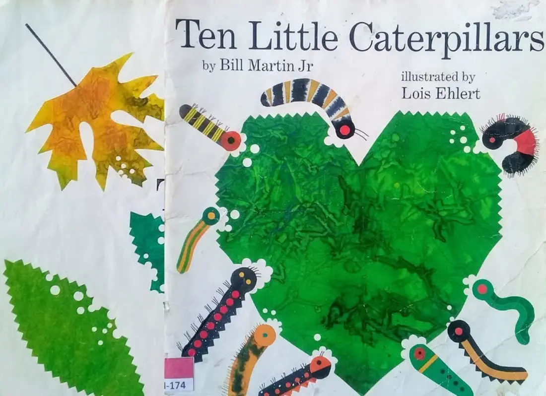 caterpillar daycare, caterpillar day care, georgia caterpillars, the little catapillar, daycares in milledgeville ga,caterpillars in georgia, caterpillars in georgia, tiny caterpillars, little caterpillars milledgeville ga, little caterpillars daycare