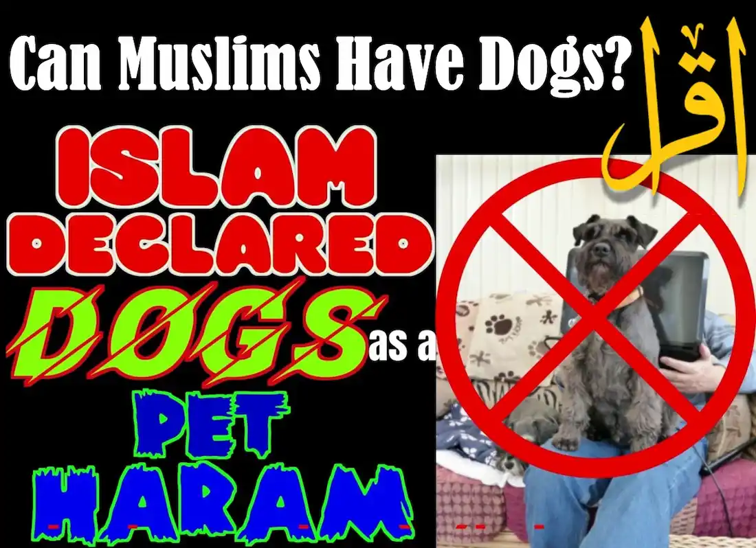 are dogs considered as haram in islam