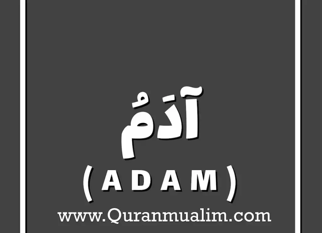 how was hawwa created , who is the first prophet in islam,who was the first prophet in islam,how tall was adam bible ,ibn e adam meaning , the story of adam ,what did allah create first,what did allah create on the first day ,when was adam born year 