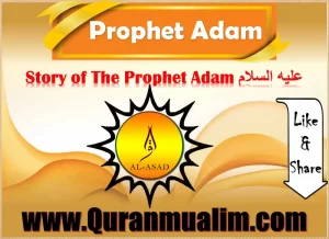 how was hawwa created , who is the first prophet in islam,who was the first prophet in islam,how tall was adam bible ,ibn e adam meaning , the story of adam ,what did allah create first,what did allah create on the first day ,when was adam born year