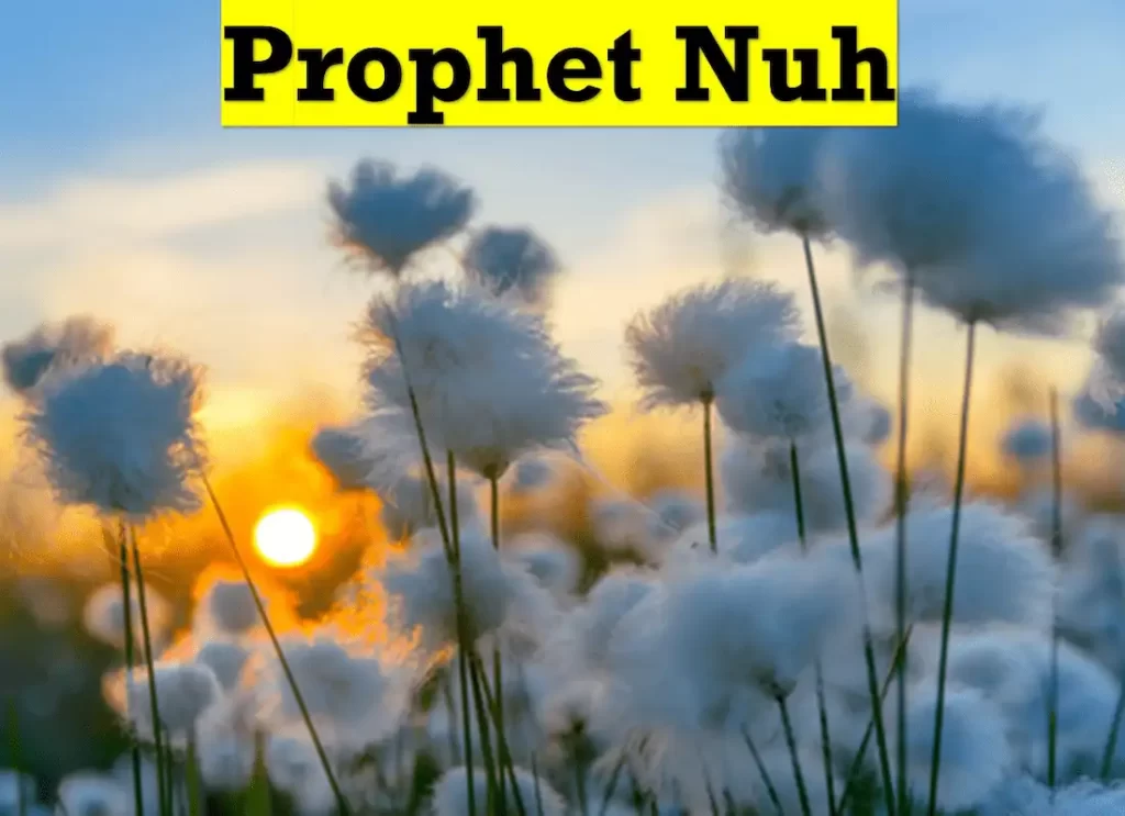 prophet noah,hazrat nuh story,the story of nuh,story of noah in quran,story of noah quran,story of noah quran ,story of noah in quran  ,noah in quran, noah islam ,ark of nuh ,noah's ark quran ,nuh age in quran ,birthplace of noah,noah in Arabic 