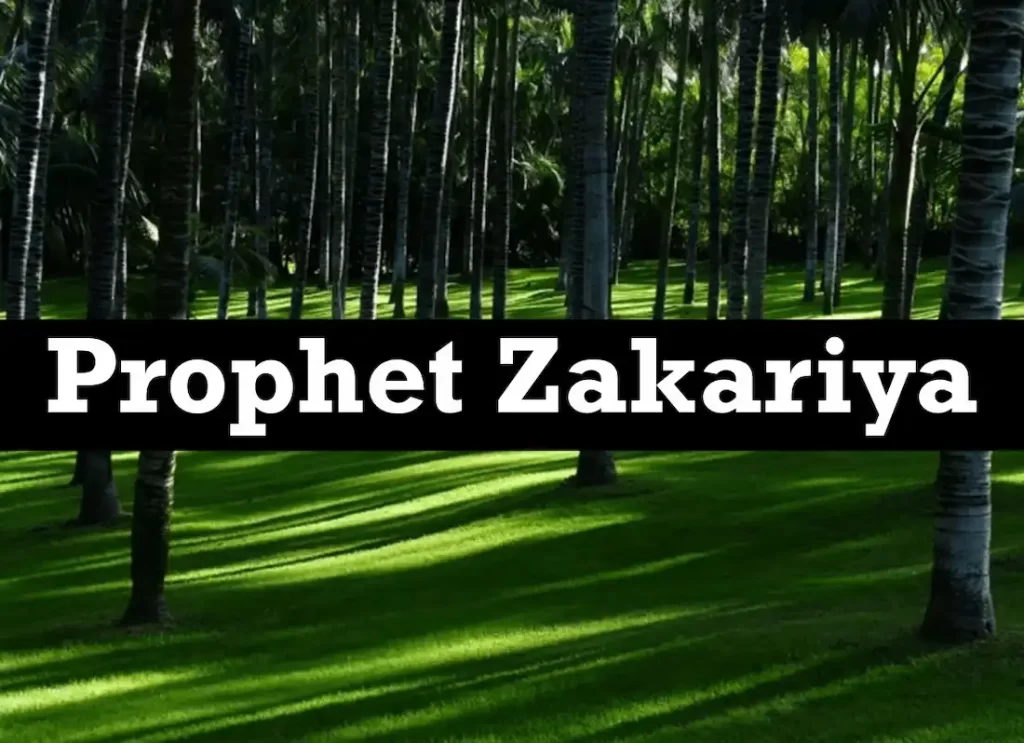 zakariya meaning. meaning of zakaria, zekeriya name meaning , what is the meaning of zakariya.zakariyya, zakariyya