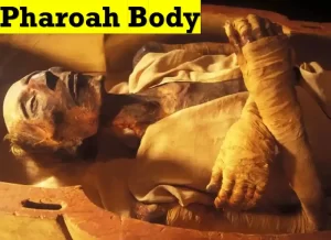 ramses ii body found ,firon body ,firon body in egypt museum ,pharaoh body found in red sea wiki ,ramses ii body,firon mummy history ,ramesses ii body,did ramses ii die in the red sea ,egypt dead body
