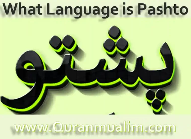 ,pashtu language , pashtun language ,pushto language ,pushtu language ,afghanistan in pashto ,pashto dialects ,pashto language origin , what language is pashto similar to ,written pashto ,origin of pashto ,pashto afghanistan ,pashto speaking ,is pashto similar to arabic