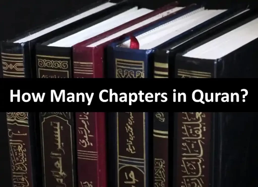 chapters in the quran,chapters in quran,chapters in quran ,,chapters of quran ,chapters of the quran ,how many surah in quran , how many surahs in quran,the chapters of the qur an