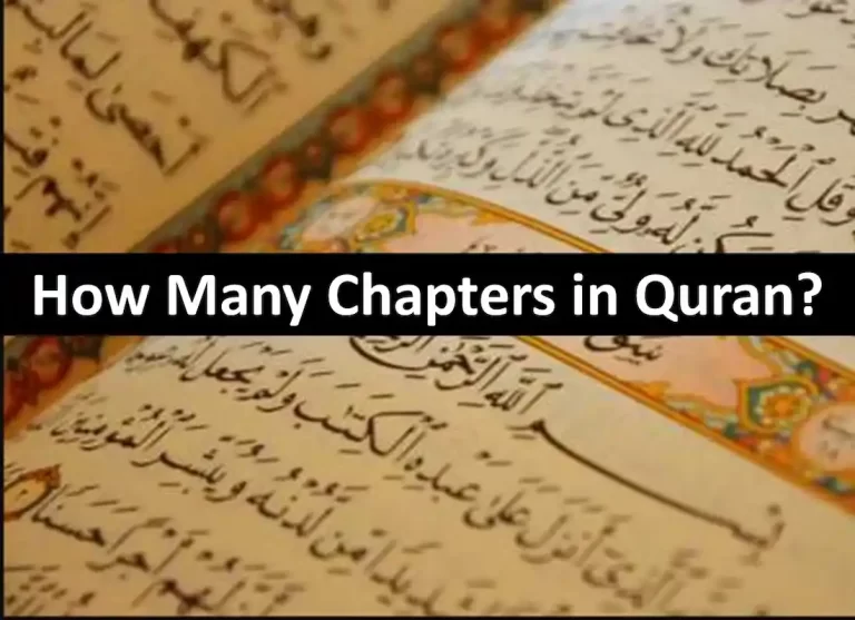 how many surah in the quran ,how many surahs are in the quran , how many surahs in the quran ,koran chapters ,number of surah in quran ,how many surah are there in quran,how many surahs are there ,quran chapter ,quran chapters,surahs in the quran ,what is a surah in the quran,quran chapters in arabic