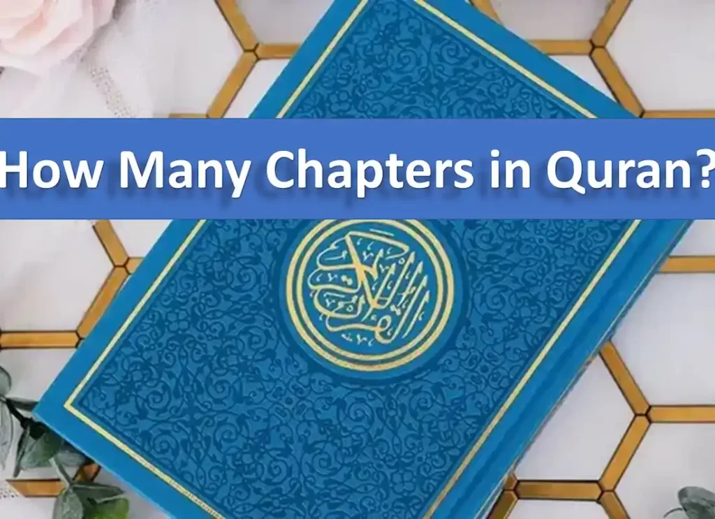 how many chapters in the quran,how many chapters are in the quran, how many chapters are in quran,how many chapters in the quran,how many chapters are in the quran,quran has how many chapters