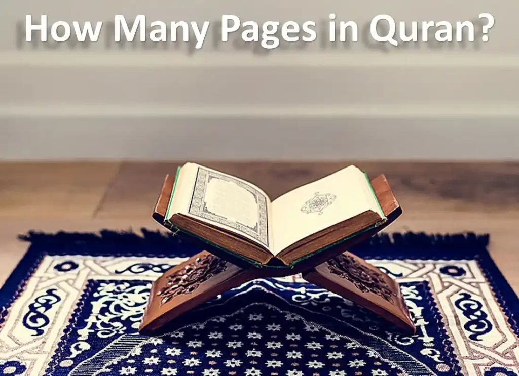how many pages are in the quran,how many pages in the quran, how many pages are there in the quran,how many pages in one juz of quran,how much pages in quran,how many pages is quran