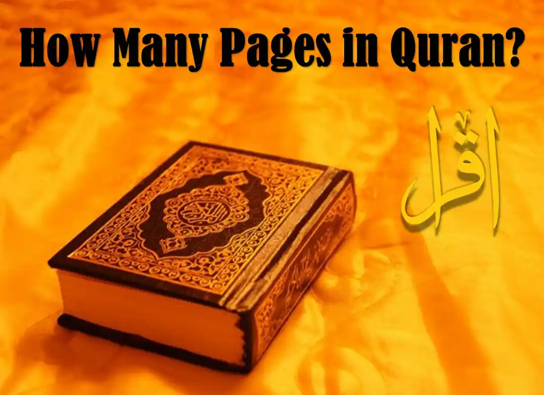 how many pages are there in the quran,how many pages does the quran have ,how many pages quran how many pages are in the koran ,how many pages in one juz of quran,how big is the quran