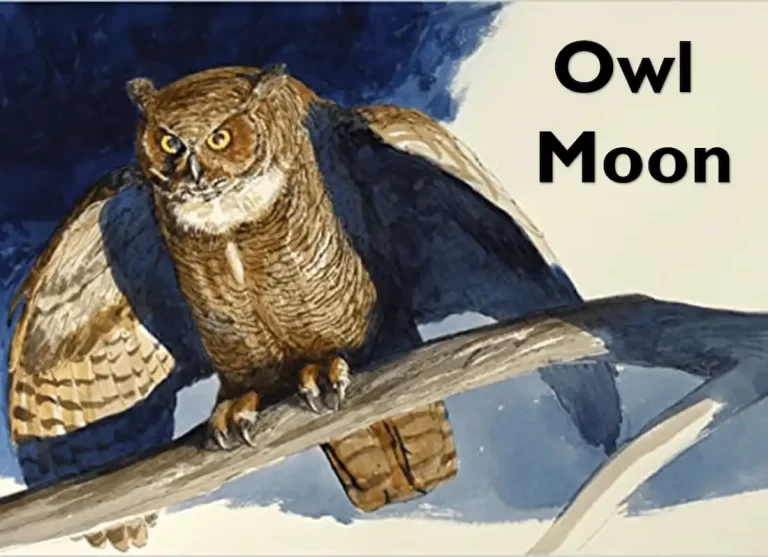 owl and the moon, moon faced owl owl and crescent moon tattoo, owl and moon wedding venue , owl moon jane yolen ,wl tree moon tattoo ,do owls get moon blinked ,figurative language in owl moon ,owl and moon necklace ,owl moon cabin yosemite, seeing an owl on a full moon meaning, children's book owl moon