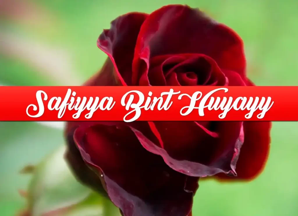 safiyya bint huyayy,safiyya bint huyayy age,safiyya bint huyayy story,safiyya bint huyayy biography,safiyya bint huyayy hadith, safiyya,safiyyah,saffiyah,safiyah,safiyah beauty,safiyya bint huyayy,sofia mohammed