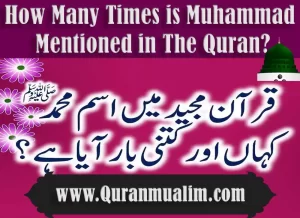 how many prophets are mentioned in quran , how many prophets are mentioned in the quran ,how many prophets in quran ,mohamed allah ,muslim prophets name , who are the prophets of islam, how did muhammad receive the quran