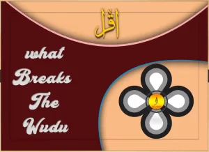 does sleep break wudu ,does sleeping break wudu ,fard of wudu,fard wudu ,ghusl for men,hijab touch ass,how make wudu , how many times do you wash your feet in wudu,how to do ghusl after period,how to do wadu,how to do wazu,how to do wudhu