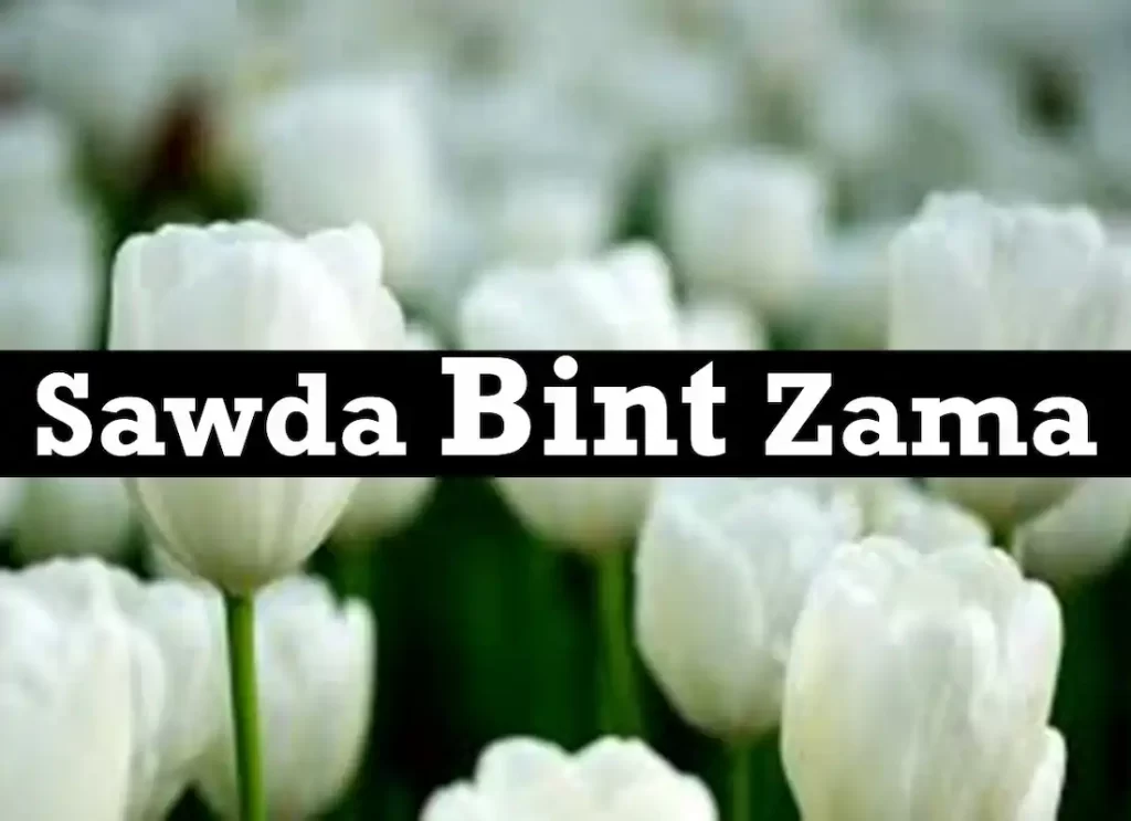 sawd,sawder,sawd grass,grass sawd,how to sawder,sawda bint zamʿa,sawdah bint zam'ah,qurnat as sawda,how to sawder, how to lay sawd,what is sawder,what is sawd,sawda bint zam a