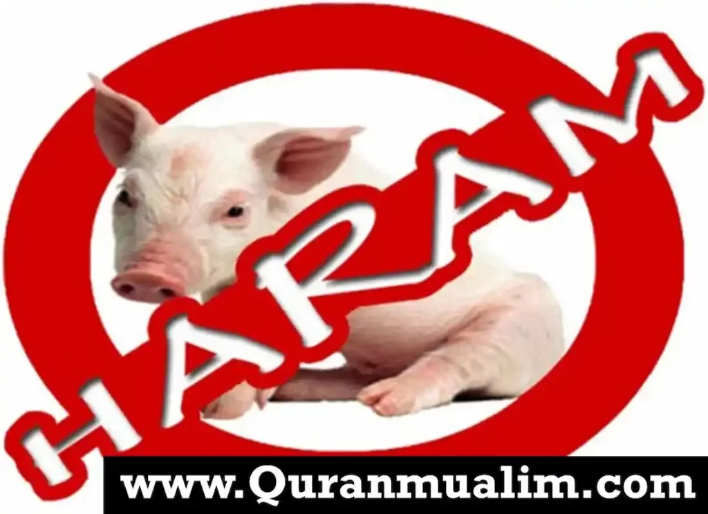do muslims eat beef, does muslim eat meat,do muslims eat meat, what meat can muslims eat, what can muslims not eat ,what can muslims eat ,animals that are haram to eat ,is beef haram,what animals are haram to eat ,what does muslim eat