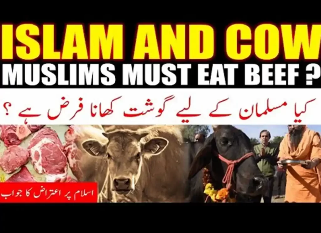 do muslims eat beef, does muslim eat meat,do muslims eat meat, what meat can muslims eat, what can muslims not eat ,what can muslims eat ,animals that are haram to eat ,is beef haram,what animals are haram to eat ,what does muslim eat