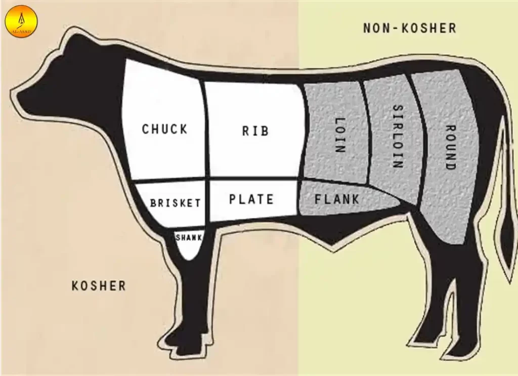 can muslims eat beef,can muslims eat meat, do muslims eat meat,does muslim eat meat, what meat can muslims eat, meat for muslim  ,what can muslims not eat ,what does muslim eat ,animals that are haram to eat,is beef haram ,what animals are haram to eat  ,dietary laws of islam ,dietary restrictions for islam,food for muslim,food laws in islam