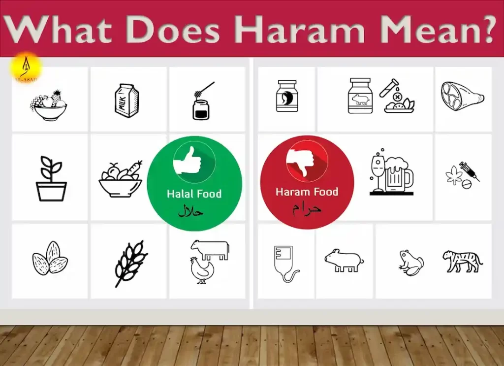 what is harram , haram ,haram in arabic ,what haram ,haram urban dictionary ,haram meaning in urdu ,what is haram in islam ,absolutely haram meaning ,opposite of haram ,what is considered haram, haram in islam,haram islam ,haram pronunciation ,muslim haram  