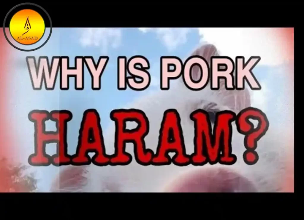 why is pork haram, why is eating pork haram, why is it haram to eat pork, why pork is haram in quran, why is pork haram in islam, why is pork haram, why is eating pork haram, why is it haram to eat pork, why pork is haram in quran, why is pork haram in islam