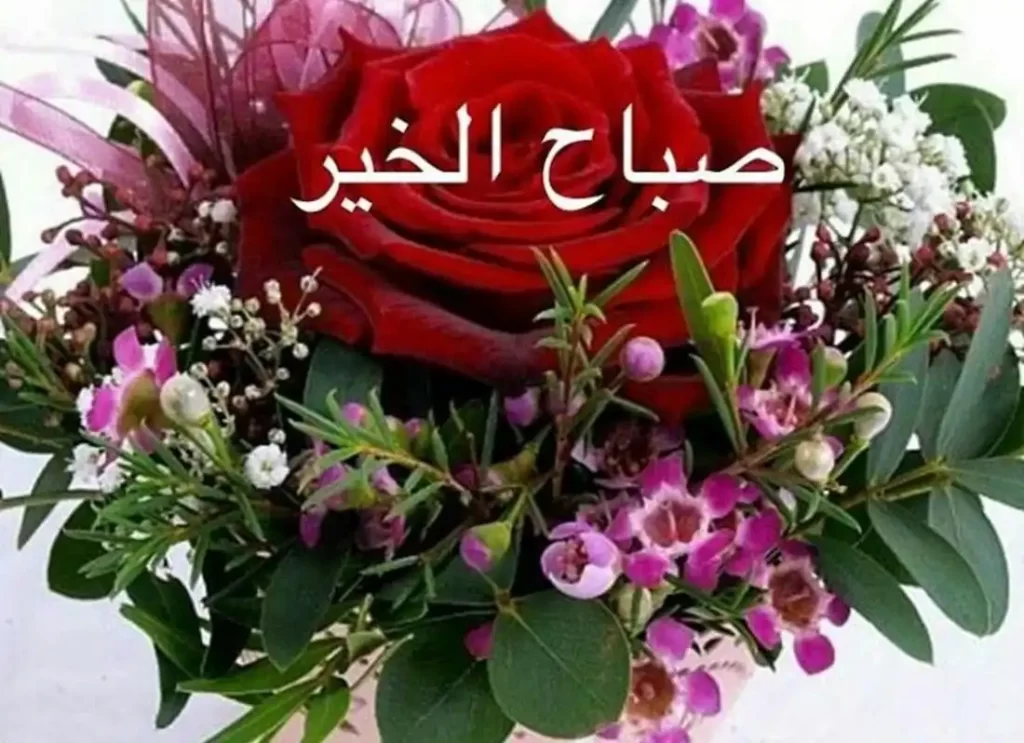 flower in arabic,flower arabic,arabic flower,arabic flower names,arabic jasmine flower,arabic flowers,arab flowers,	flower arabic,arabic flower design,flowers arab,names of flowers in arabic with pictures ,flowers from the middle east  