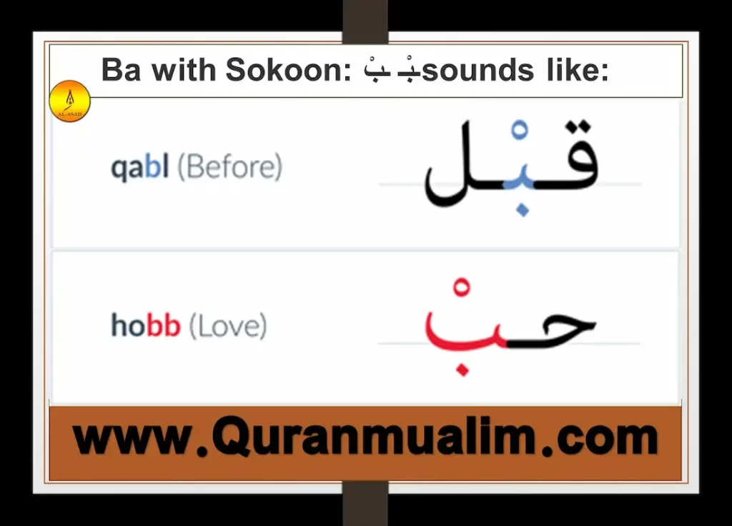 ba egyptian meaning, ba egypt, egyptian word for soul, find ba, into the ba, ba? ب, aleph, letter b in arabic, history of the letter b, alphabet in arabic and english, first letter of the arabic alphabet