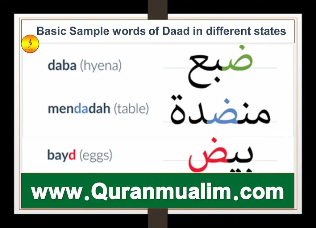 arabic letter daad, daad arabic letter, arabic daad, arabic letter daad pronunciation daad arabic, how to pronounce arabic letter daad, how to pronounce daad in arabic, dad in arabic, arabic dad, how to say dad in arabic