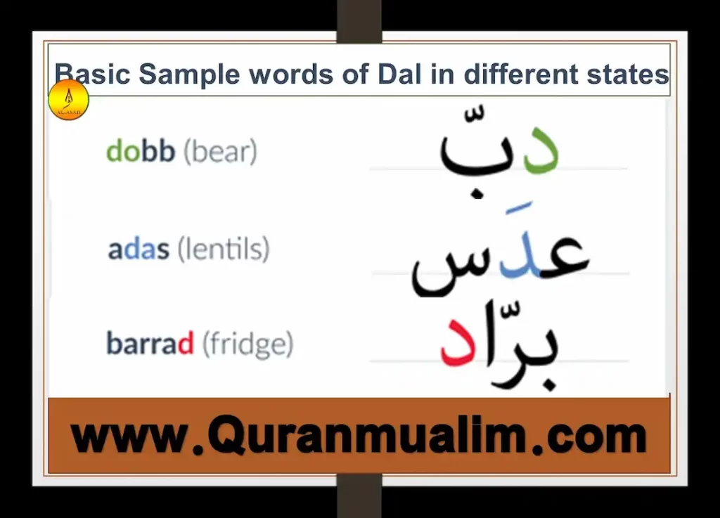 dhaal in English, arabic letter dhal, arabic daal, arabic dal, arabic letter daal, arabic letter zaal arabic alphabet, arabic alphabet in English, arabic alphabet chart, learn arabic alphabet	 arabic alphabets, how many letters are in arabic alphabet, how many letters in arabic alphabet	