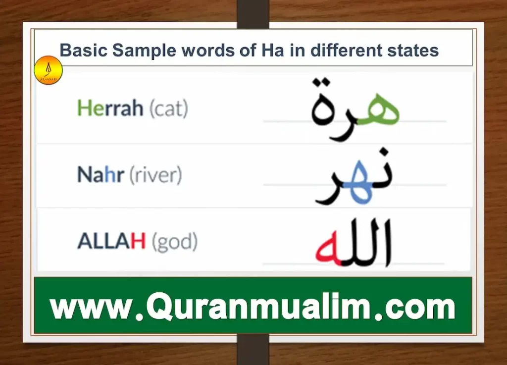  ha arabic letter, arabic letter ha, ha in arabic, letter ha in arabic, arabic letter ha words, how to pronounce ha in Arabic, how to write ha in arabic, letter ha in arabic, ha in arabic, arabic alphabet ha, arabic letter ha, arabic haa