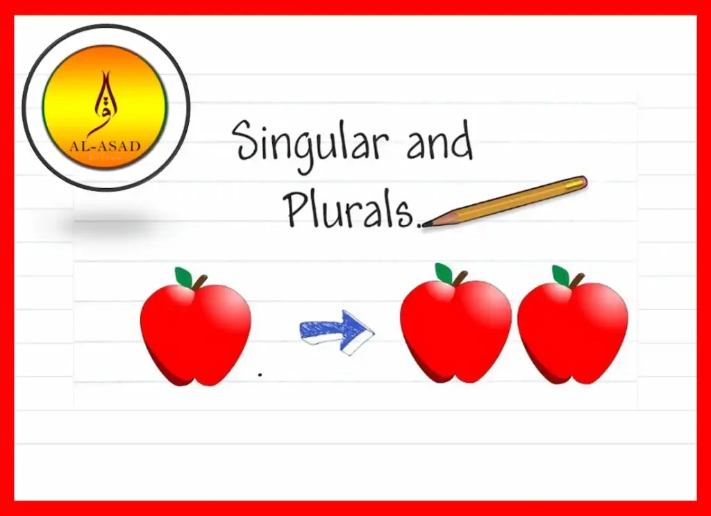 any singular or plural, is any plural or singular, any plural or singular, is any singular or plural, any + plural or singular, is any plural or singular,is any singular or plural