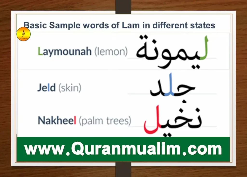 lam meaning in arabic, wallahu a'lam bishawab arab, lam arabic meaning, lamar meaning in arabic, lamar name meaning in Arabic, what does lamar mean in arabic,lam definition, l.a.m., l a m