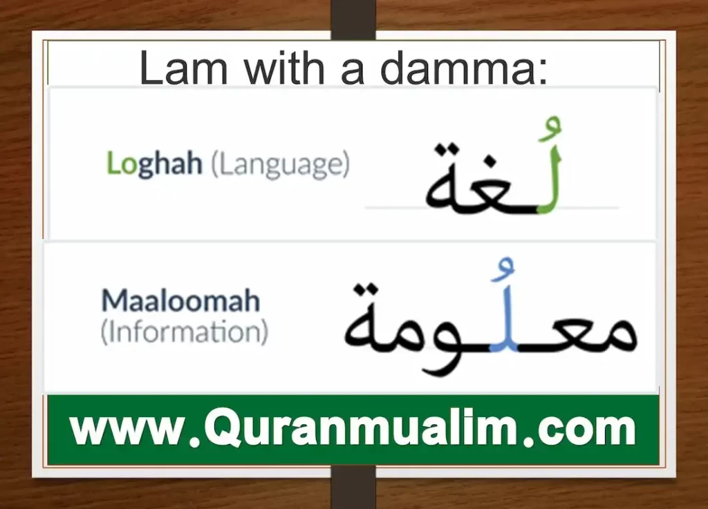 lam meaning in arabic, wallahu a'lam bishawab arab, lam arabic meaning, lamar meaning in arabic, lamar name meaning in Arabic, what does lamar mean in arabic,lam definition, l.a.m., l a m