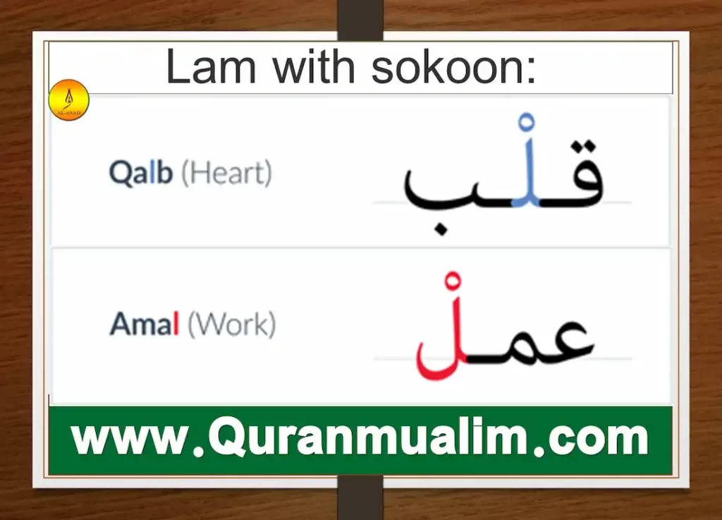 lam meaning in arabic, wallahu a'lam bishawab arab, lam arabic meaning, lamar meaning in arabic, lamar name meaning in Arabic, what does lamar mean in arabic,lam definition, l.a.m., l a m