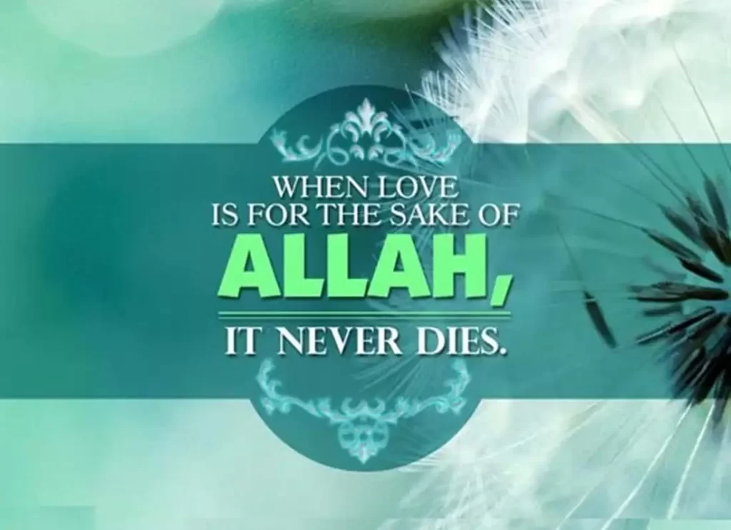 for the sake of allah,for the sake of allah song,i love you for the sake of allah,love for the sake of allah,loving for the sake of allah, love for the sake of allah,for sake of allah,loving for the sake of allah