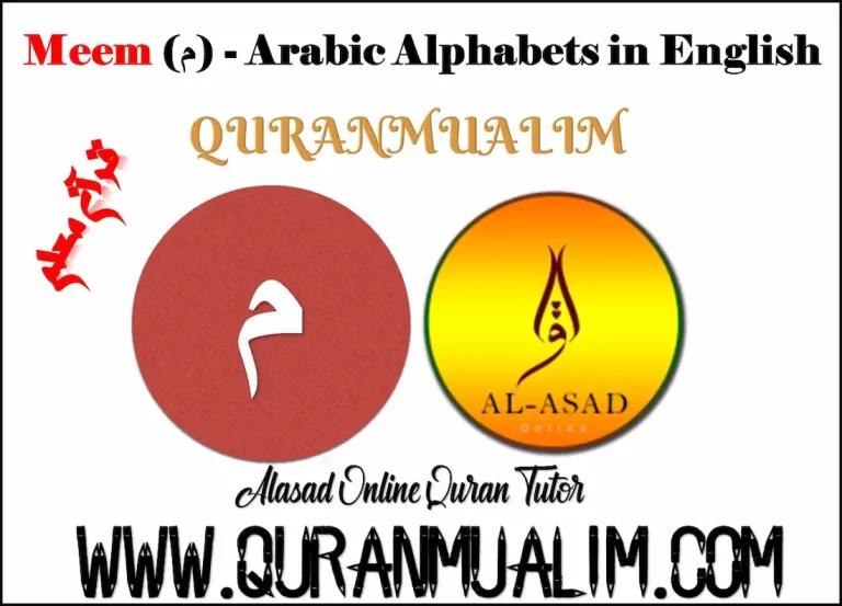 Arabic M Arabic Alphabets - Quran Mualim 2026