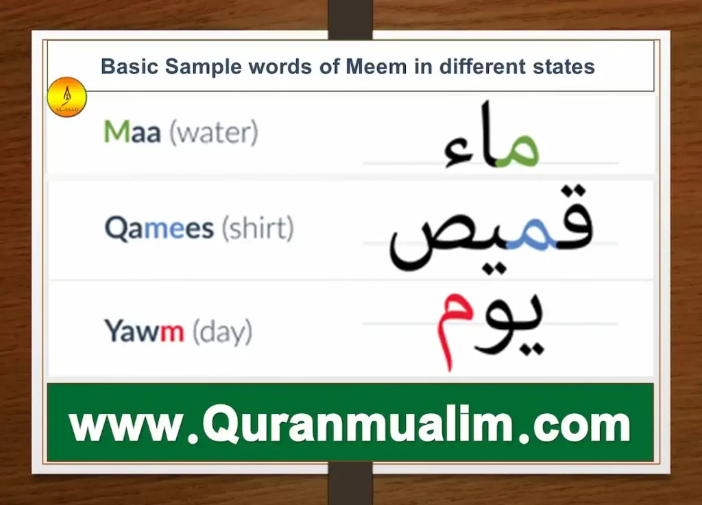 meem arabic, letter meem in arabic, alif laam meem arabic, alif laam meem in arabic, arabic alphabet meem, how to write arabic letter meem, how to write meem in arabic, letter meem in arabic, arabic mim, letter m in arabic, arabic m