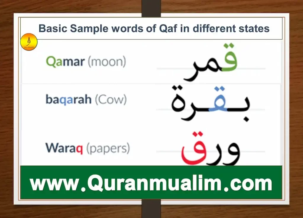 qaf, qafs, surah qaf, djebel qaf, qaf fanfiction, what is qaf, how to pronounce qaf in arabic	 is qaf a word, what is surah qaf about, what juz is surah qaf in, qaf meaning, as folk, gay as folk	 qaf definition, queer as fold