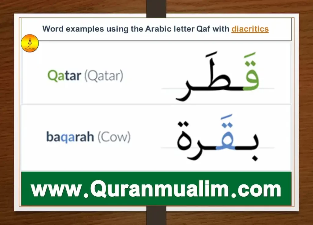 qaf, qafs, surah qaf, djebel qaf, qaf fanfiction, what is qaf, how to pronounce qaf in arabic	 is qaf a word, what is surah qaf about, what juz is surah qaf in, qaf meaning, as folk, gay as folk	 qaf definition, queer as fold