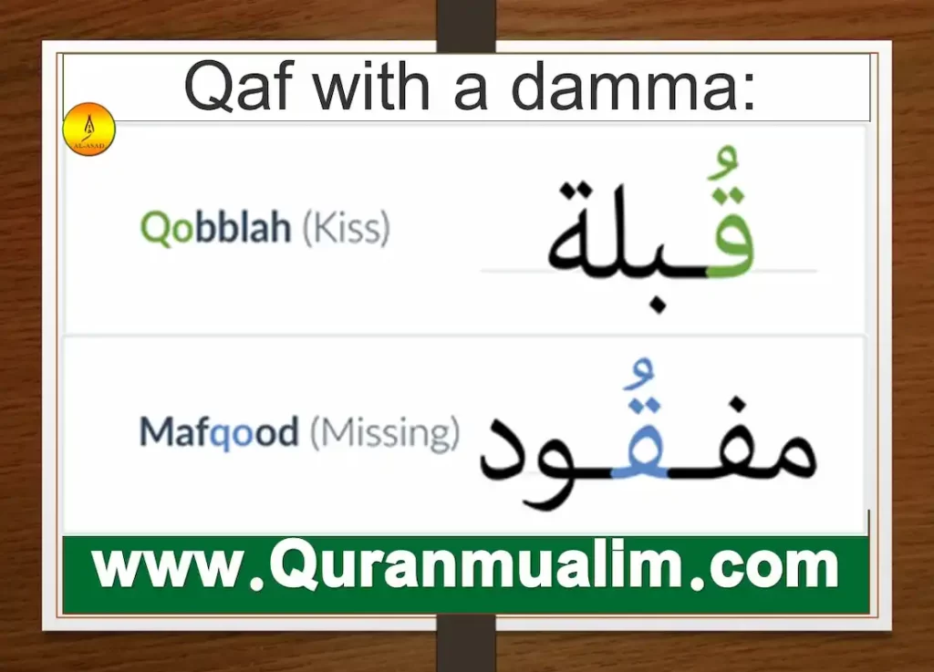 qaf, qafs, surah qaf, djebel qaf, qaf fanfiction, what is qaf, how to pronounce qaf in arabic	 is qaf a word, what is surah qaf about, what juz is surah qaf in, qaf meaning, as folk, gay as folk	 qaf definition, queer as fold