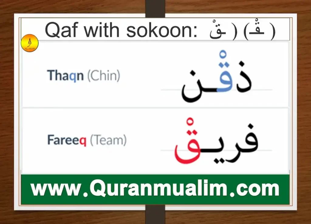 qaf, qafs, surah qaf, djebel qaf, qaf fanfiction, what is qaf, how to pronounce qaf in arabic	 is qaf a word, what is surah qaf about, what juz is surah qaf in, qaf meaning, as folk, gay as folk	 qaf definition, queer as fold