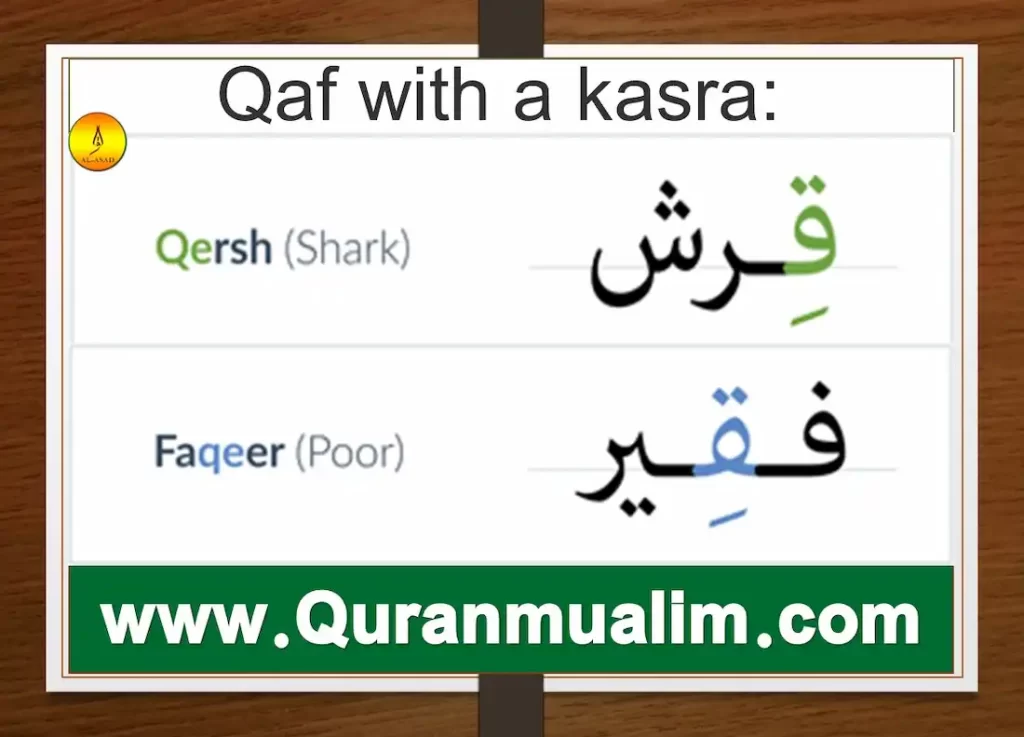 qaf, qafs, surah qaf, djebel qaf, qaf fanfiction, what is qaf, how to pronounce qaf in arabic	 is qaf a word, what is surah qaf about, what juz is surah qaf in, qaf meaning, as folk, gay as folk	 qaf definition, queer as fold