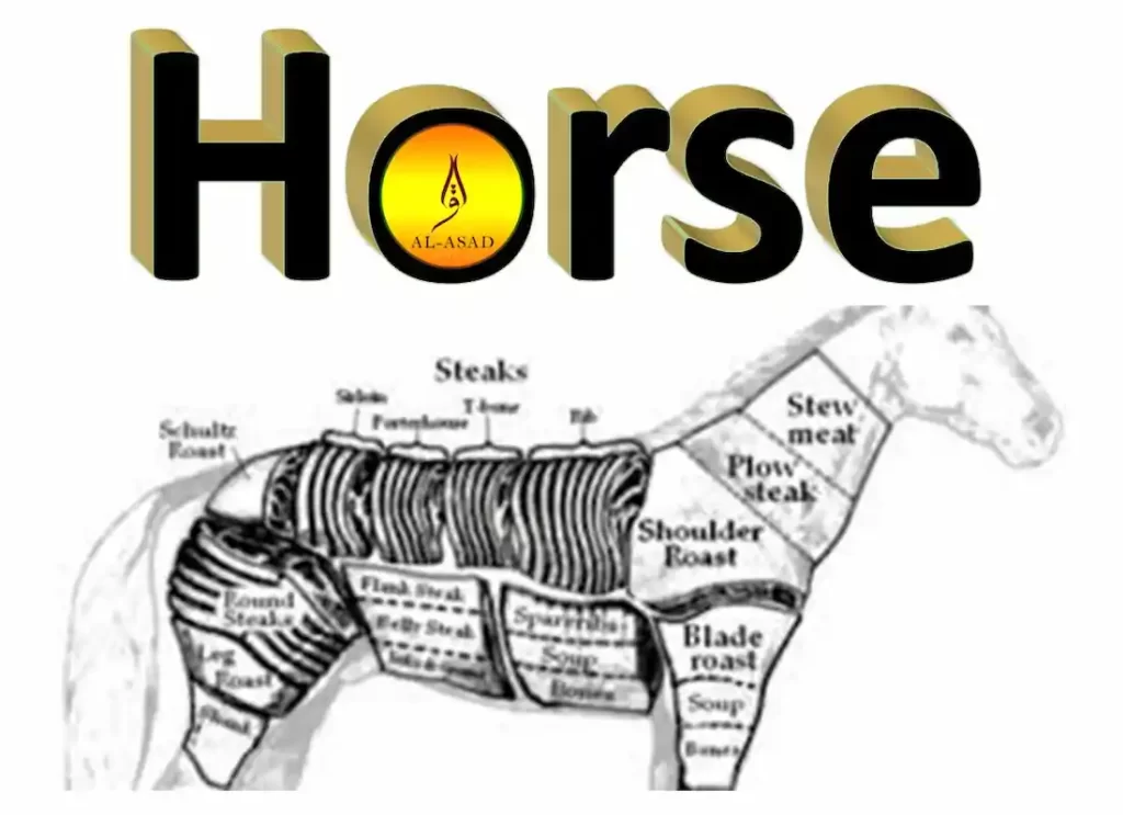 is horse meat halal,is horse halal or haram, horse is halal or haram, is horse halal hanafi,is horse meat halal, is horse halal, is horse halal or haram,is horse halal hanafi