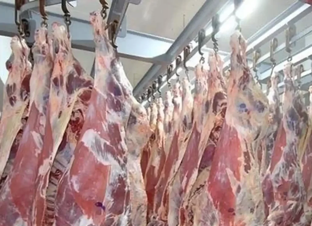 is horse halal in turkey,are horses halal,is horse halal or haram, is horse meat halal, horse meat name, name of horse meat,buy horse meat, buy horse meat online ,buy horse meat online usa