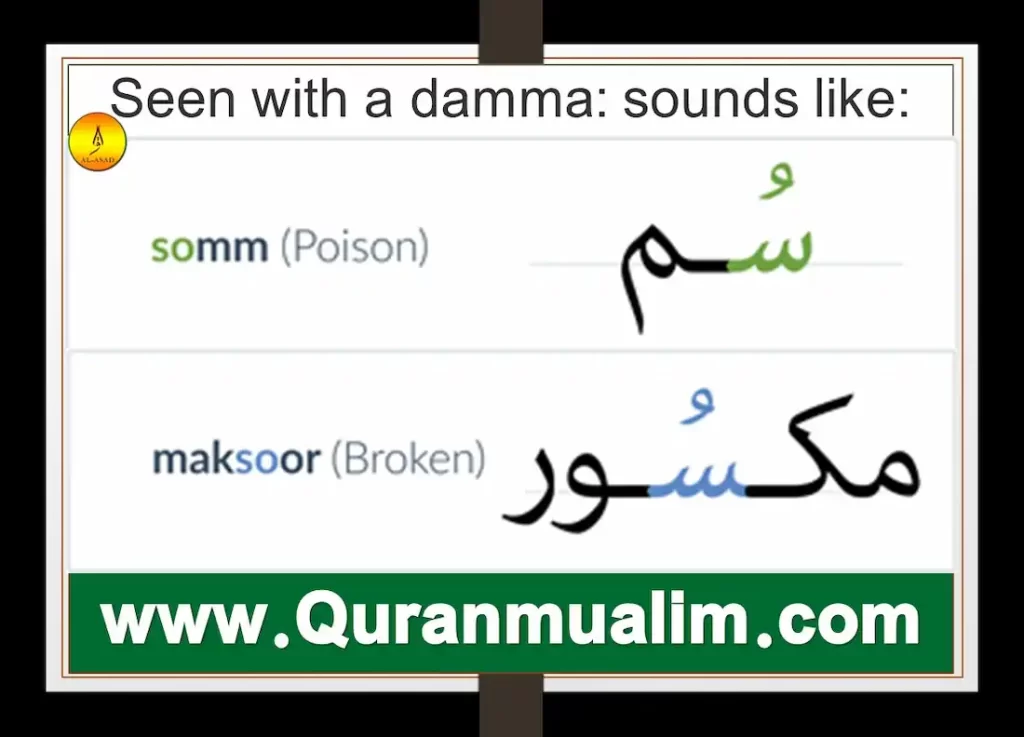 letter seen in arabic, seen in arabic, letter seen in arabic, arabic letter seen, arabic words starting with seen, arabic letter seen words, arabic letter seen worksheets, arabic alphabet learn, arabic texts, how to learn the arabic alphabet, free alphabet letter templates to print