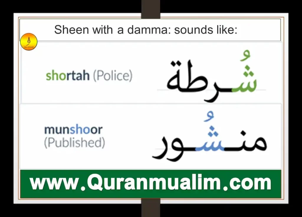 , arabic letter sheen	,سکس ش, arabic letter sin,اهنگ ش, arabic words that start with sheen, ش ش arabic letter sheen, arabic words that start with sheen	 		